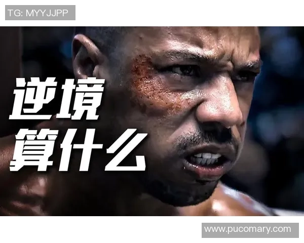 从逆境到巅峰：体坛励志人物的奋斗与坚持之路