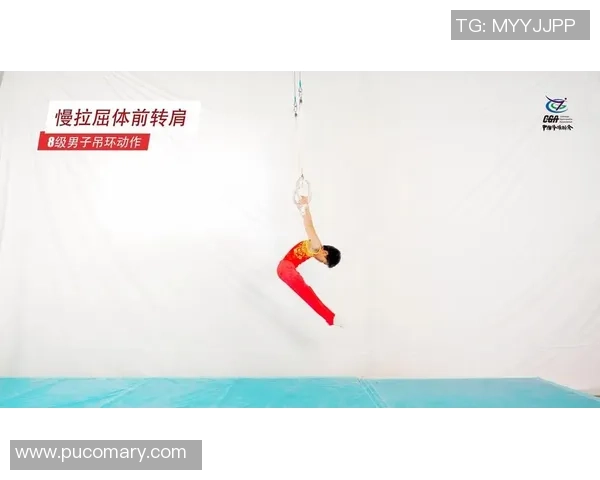 奥运会体操项目选手动作完成度评估与提升策略研究